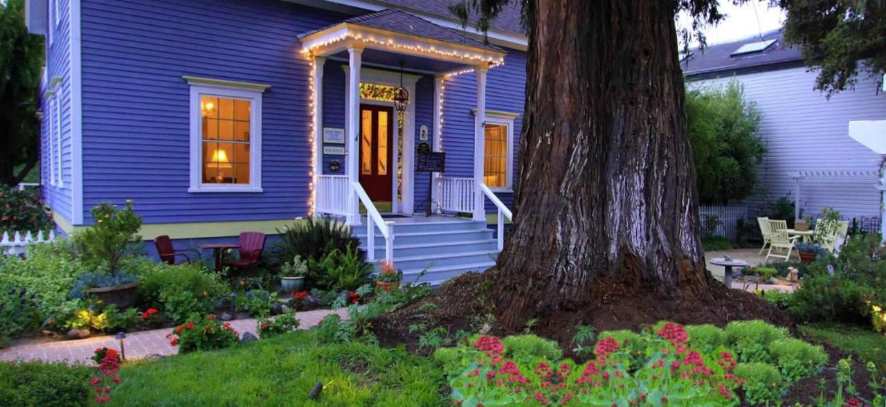 Olallieberry Inn Bed And Breakfast Cambria Esterno foto