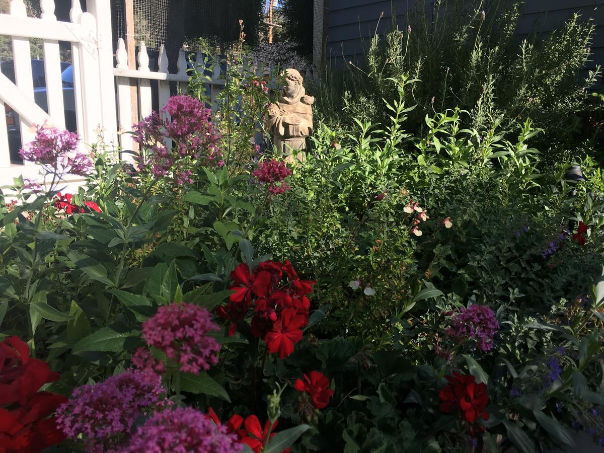 Olallieberry Inn Bed And Breakfast Cambria Esterno foto