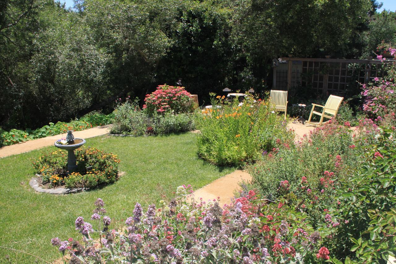 Olallieberry Inn Bed And Breakfast Cambria Esterno foto