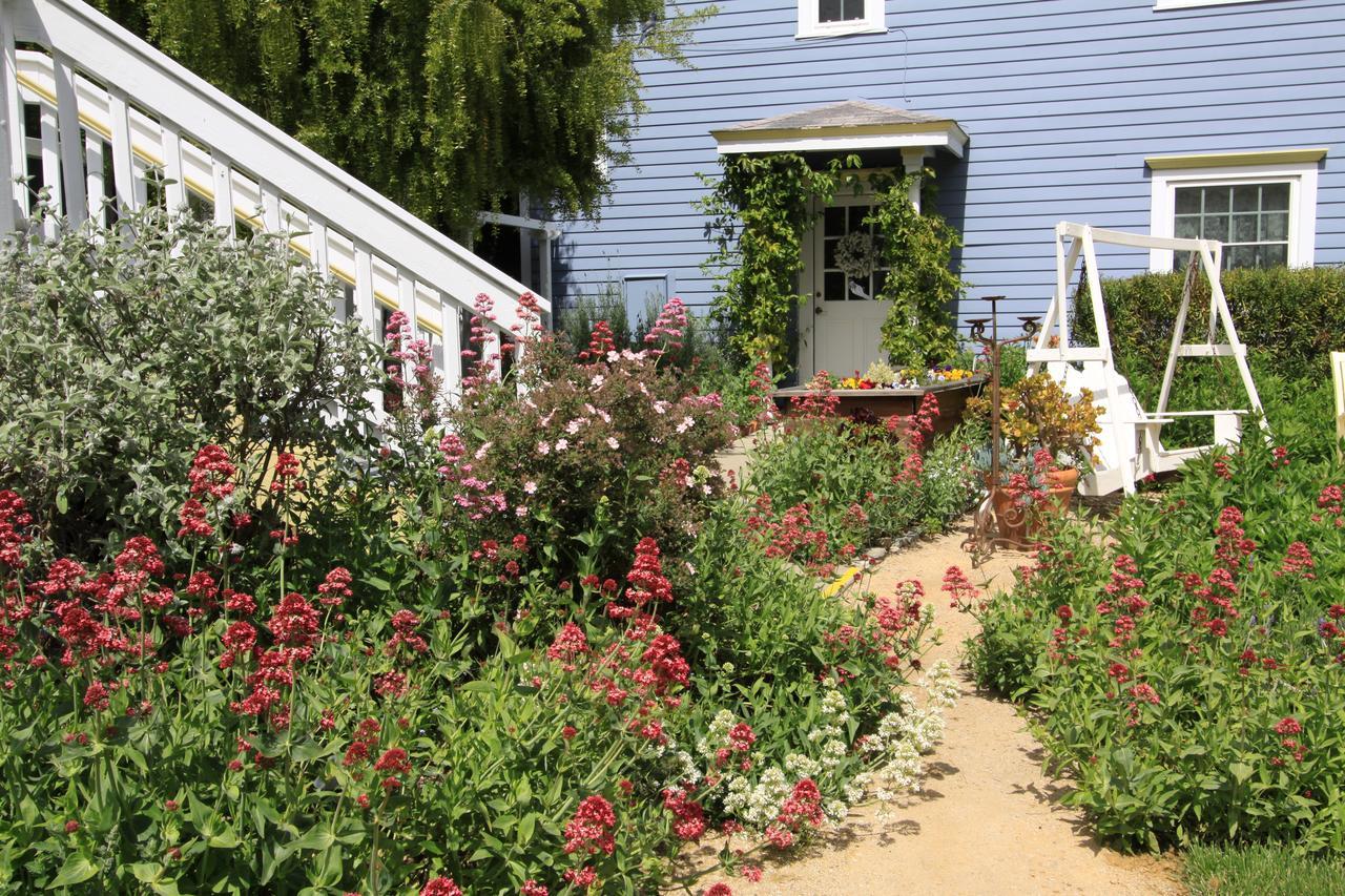Olallieberry Inn Bed And Breakfast Cambria Esterno foto